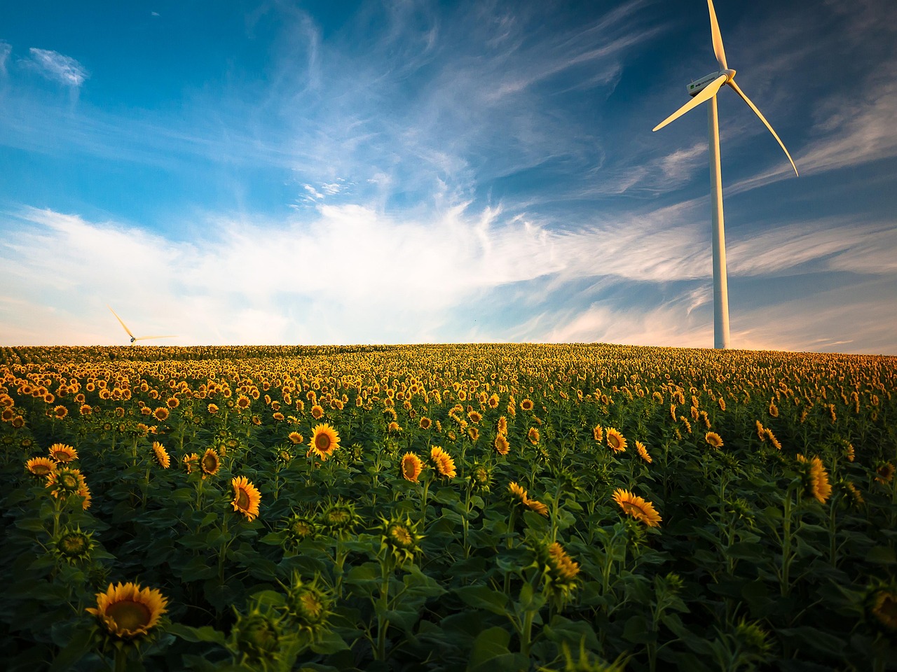 entdecken sie die vorteile erneuerbarer energien: nachhaltige lösungen für saubere energie, umweltschutz und eine grüne zukunft. erfahren sie mehr über solar-, wind- und andere erneuerbare energiequellen.